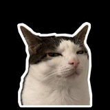 Telegram profile photo for Fallen What?