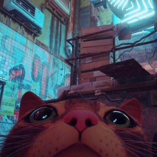 Telegram profile photo for Сломанный радиоприемник