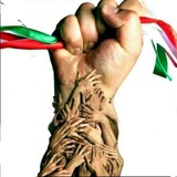 Telegram profile photo for فرهیختگان