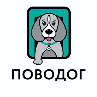 Telegram profile photo for Поводог