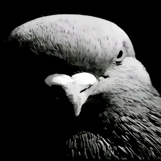 Telegram profile photo for blxckfvde