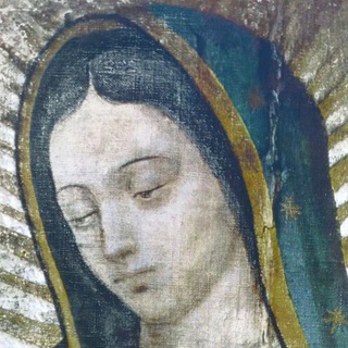 Telegram profile photo for ¿Por qué soy católico?