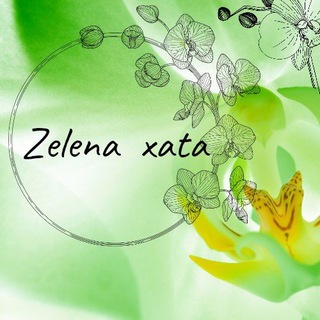 Telegram profile photo for Орхидеи питомник Zelena Xata