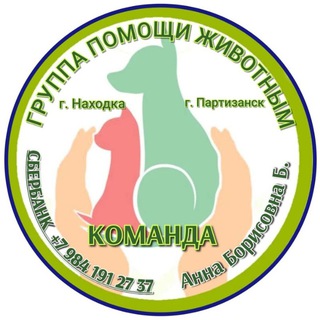 Telegram profile photo for Команда группа помощи животным