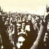 Telegram profile photo for المكتبة السياسية