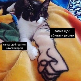 Telegram profile photo for це не смішно