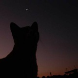 Telegram profile photo for последняя остановка.