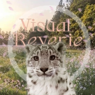 Telegram profile photo for Visual Reverie||•🪽°