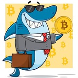 Telegram profile photo for Whales Insider News - Trades | Insider Trader™