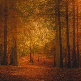 Telegram profile photo for Lovelist . .