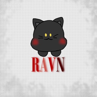 Telegram profile photo for Kim Youngjo | RAVN