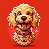 Telegram profile photo for Bear Portal (AVAX)