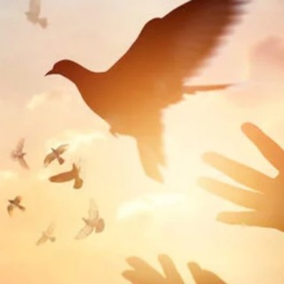 Telegram profile photo for ДЗЕН В РОДИТЕЛЬСТВЕ