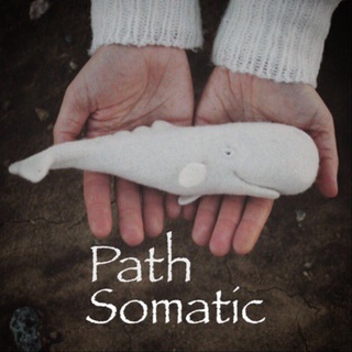 Telegram profile photo for path.somatic