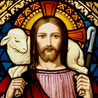 Telegram profile photo for Evangelio (P. William Cano Q.)