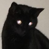 Telegram profile photo for چایی بعد از زارتان زورتان