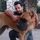 Telegram profile photo for Farzin_Barzegar فرزین برزگر