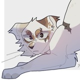 Telegram profile photo for - nonsense of 𝙉𝙞𝙩𝙧𝙤𝙜𝙚𝙣®️АРХИВ