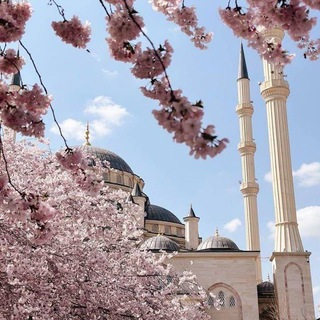 Telegram profile photo for Ahbab-ı Uhrevi 📖