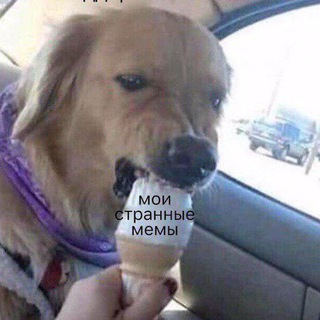 Telegram profile photo for МемыСкрепы