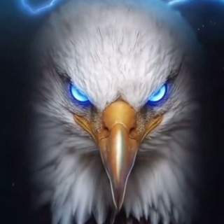 Telegram profile photo for BORSA MANYAĞI