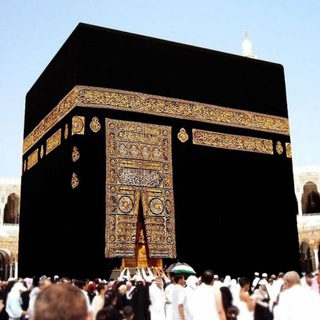 Telegram profile photo for UMRA travel🧑💼✈️🛫🛬🛩