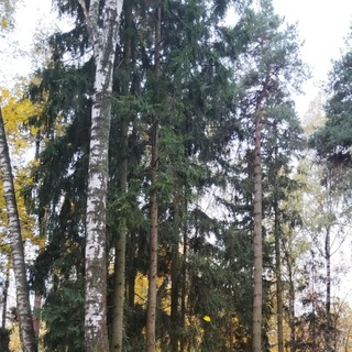 Telegram profile photo for ПЕРЕХОДНИК
