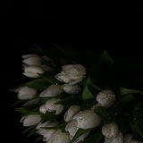 Telegram profile photo for Архив Moon Flower