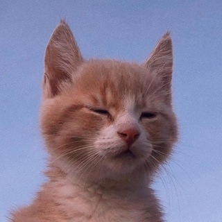Telegram profile photo for чаРт?