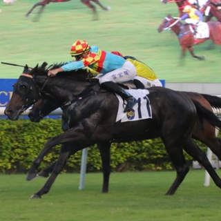 Telegram profile photo for 馬不停蹄🐎 賽馬心水
