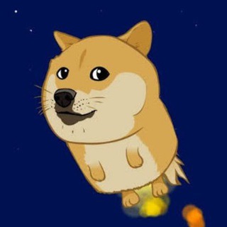 Telegram profile photo for Asteroid Doge