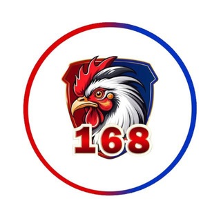 Telegram group profile photo for ក្រុម បក្សីប្រយុទ្ធ