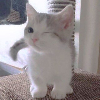 Telegram profile photo for хелликс в метро