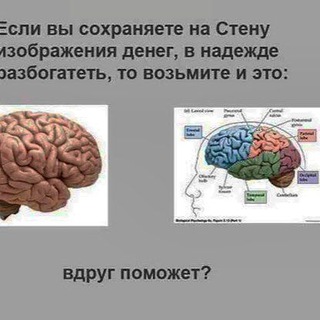Telegram profile photo for Психи и анализы(От оргазма до маразма)