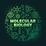 Telegram profile photo for متخرجين Bio