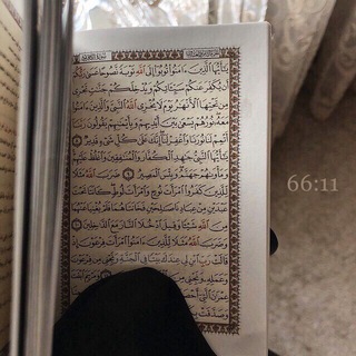 Telegram profile photo for 66:11
