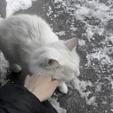 Telegram profile photo for переходник