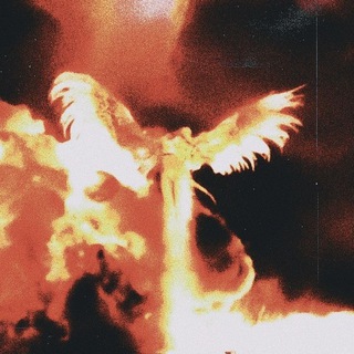 Telegram profile photo for Ϝⲟⲭ:Ⲧⲟⲇⲇ 𝒸ℴ𝓈𝓅𝓁𝒶𝓎🐦🔥