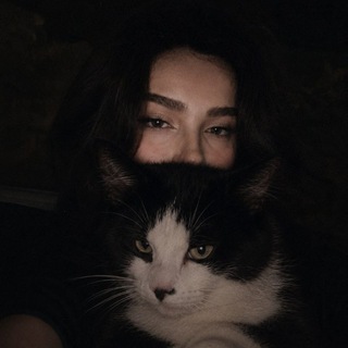 Telegram profile photo for 𝖡𝖺𝖽𝖽𝗂𝖾'𝗌 𝖲𝖺𝖿𝖾 𝖯𝗅𝖺𝖼𝖾