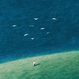 Telegram profile photo for شعرهایی که مردم نمیخوانند.