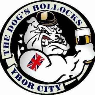Telegram profile photo for Dogz Bollox Right Wing News (Official)