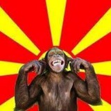 Telegram profile photo for Monkeydonians Online