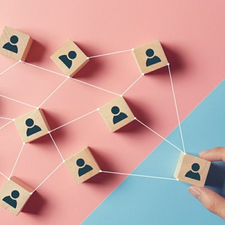 Telegram profile photo for Management
