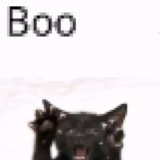 Telegram profile photo for 𝗞𝗔𝗥𝗧𝗟𝗤𝗤