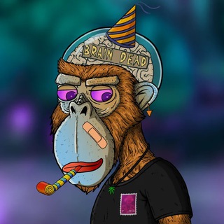 Telegram profile photo for Braindead Personal Dev List