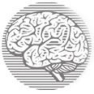 Telegram profile photo for Brain Studio News