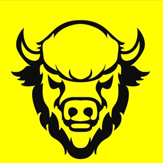 Telegram profile photo for База Бизонов