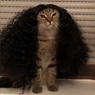 Telegram profile photo for 𝖢𝖺𝗇𝗌𝖺𝖽𝖺