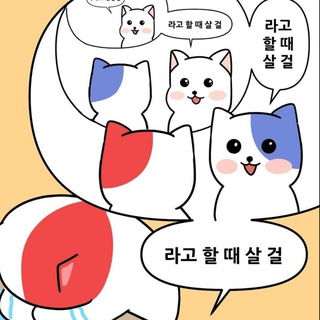 Telegram profile photo for 리포트 갤러리