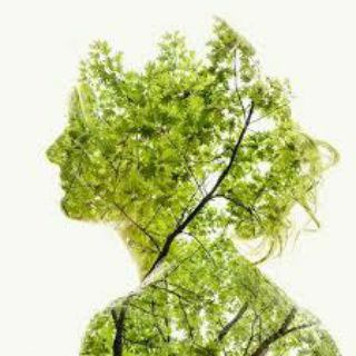 Telegram profile photo for کلارا ، صدای کتاب ها